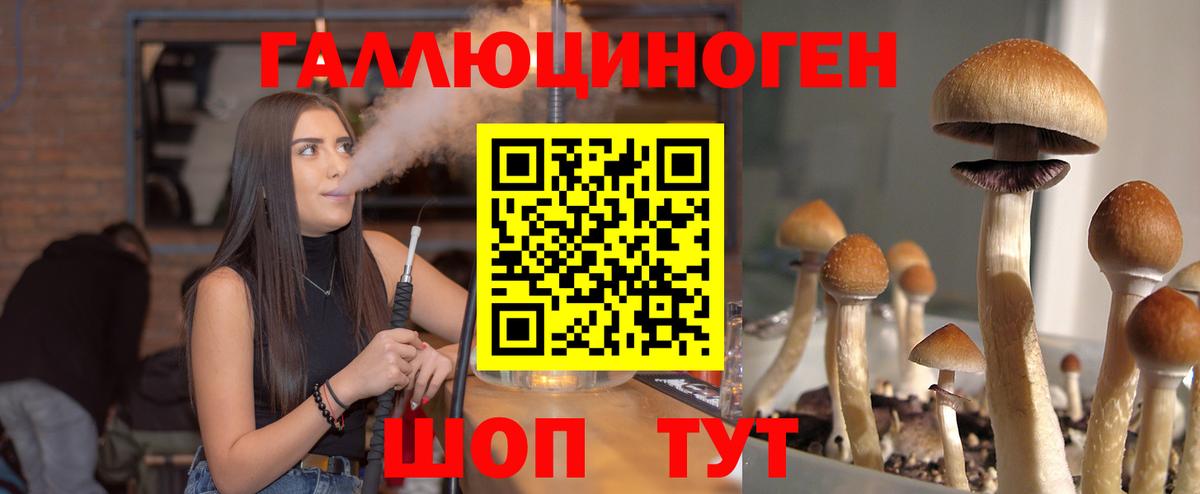 Камень-на-Оби  Псилоцибиновые грибы прущие грибы  Вход с VPN 